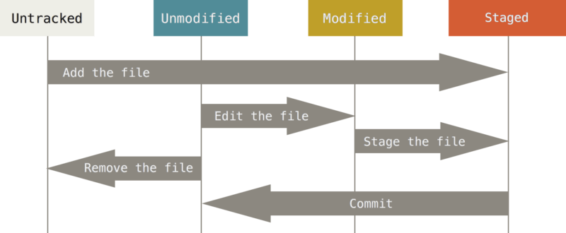 The lifecycle of the status of your files